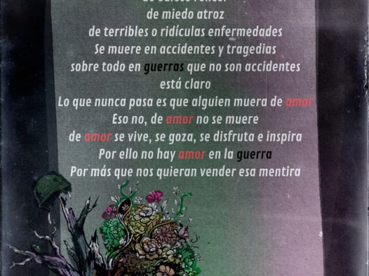 No hay amor en la guerra